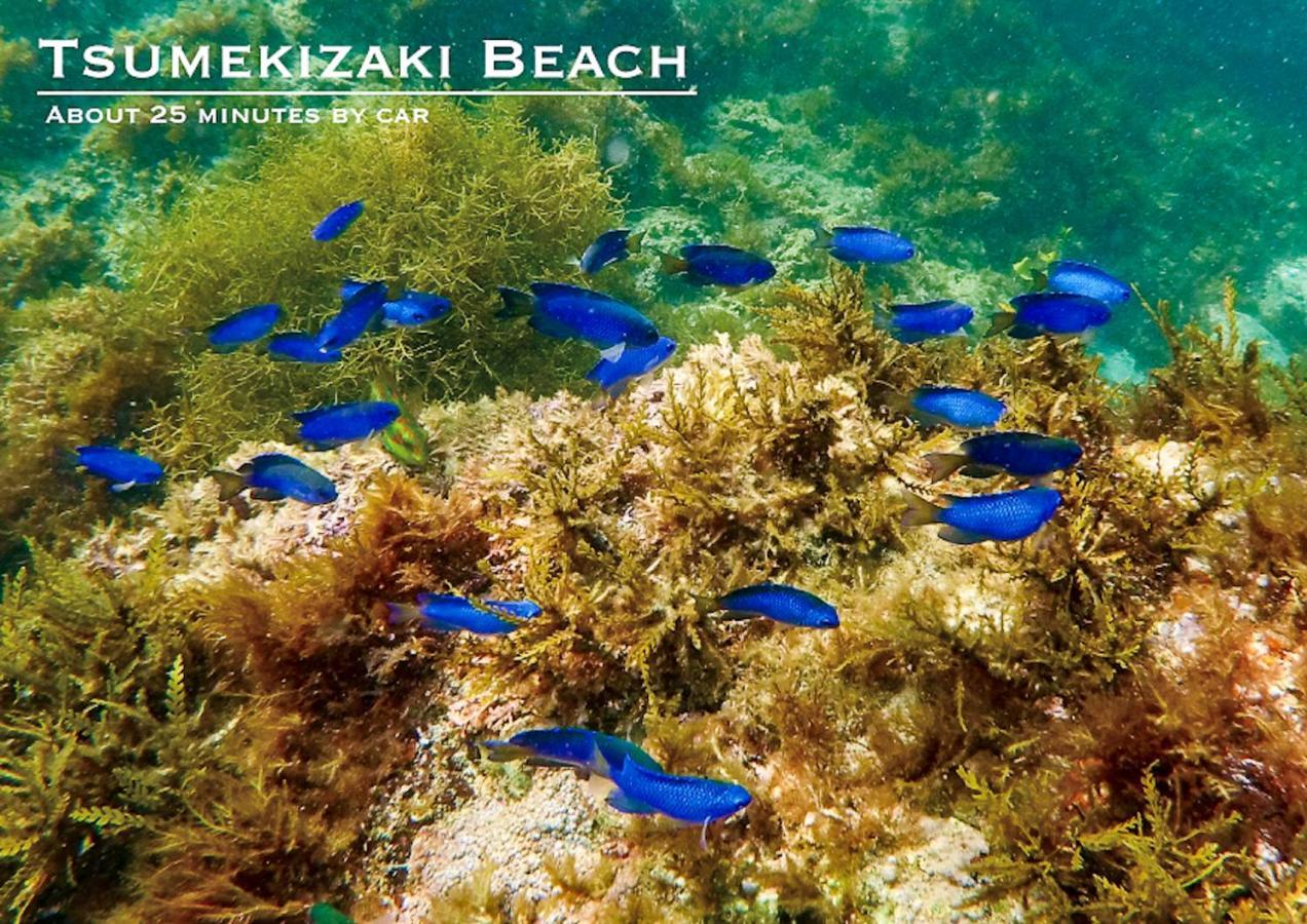 Shobuzawa Log Villa Kawazu Bagian luar foto