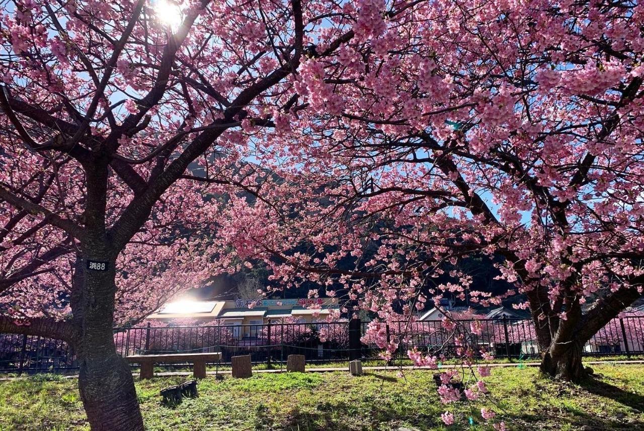 Shobuzawa Log Villa Kawazu Bagian luar foto