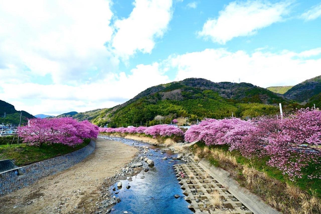 Shobuzawa Log Villa Kawazu Bagian luar foto
