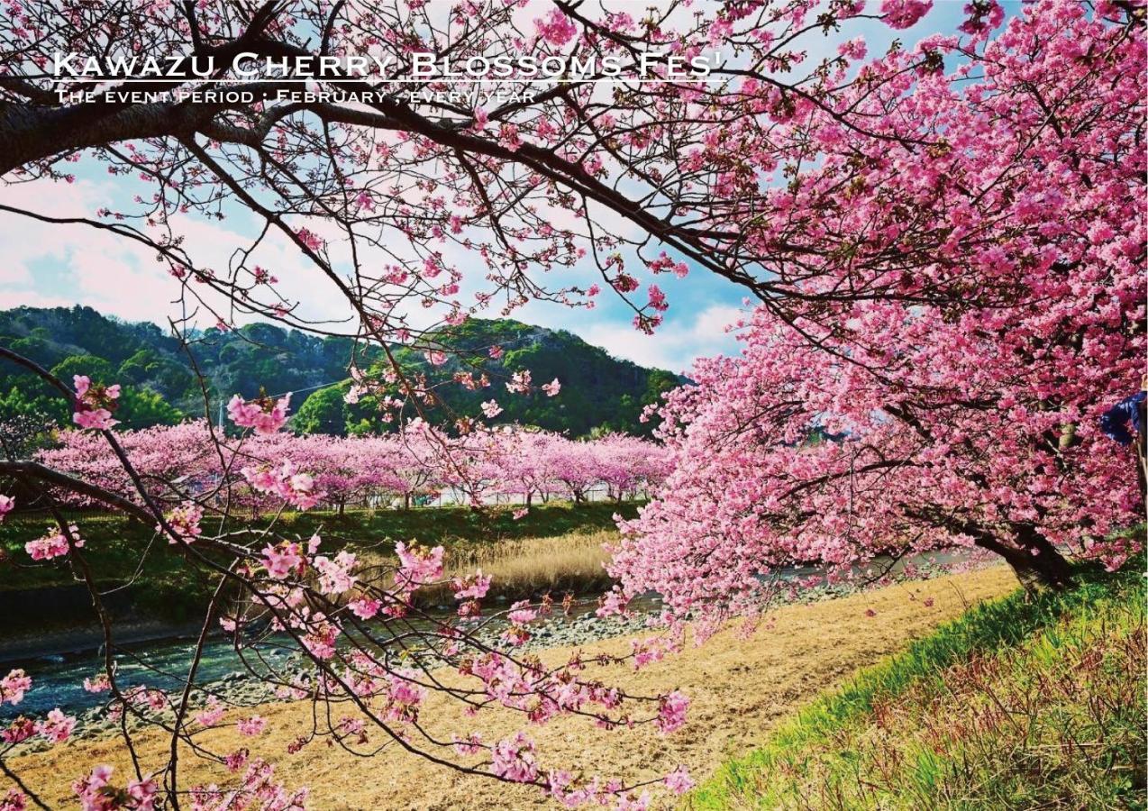 Shobuzawa Log Villa Kawazu Bagian luar foto